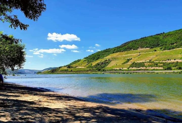 Wunderschoene Aussicht Garantiert Trechtingshausen Exteriör bild