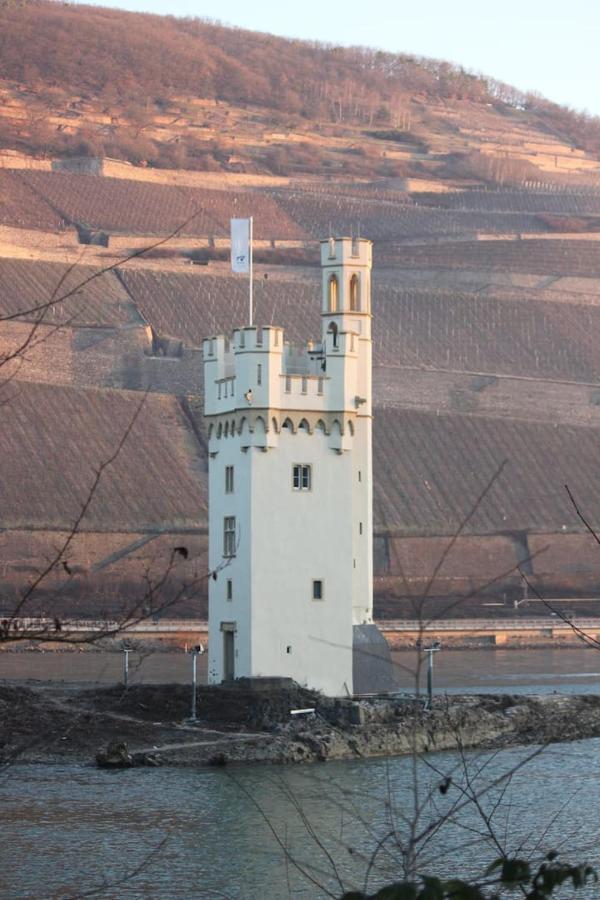 Wunderschoene Aussicht Garantiert Trechtingshausen Exteriör bild