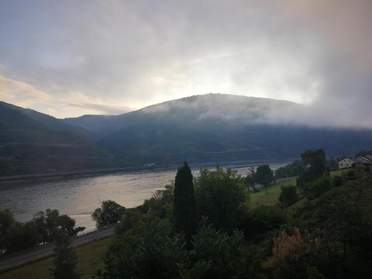 Wunderschoene Aussicht Garantiert Trechtingshausen Exteriör bild